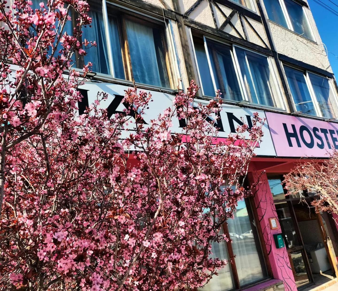 Italia Inn Hostel Сан-Карлос-де-Барилоче Экстерьер фото